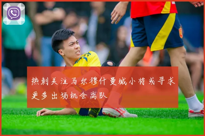 热刺关注马尔穆什曼城小将或寻求更多出场机会离队