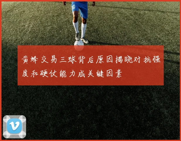 黄蜂交易三球背后原因揭晓对抗强度和硬仗能力成关键因素