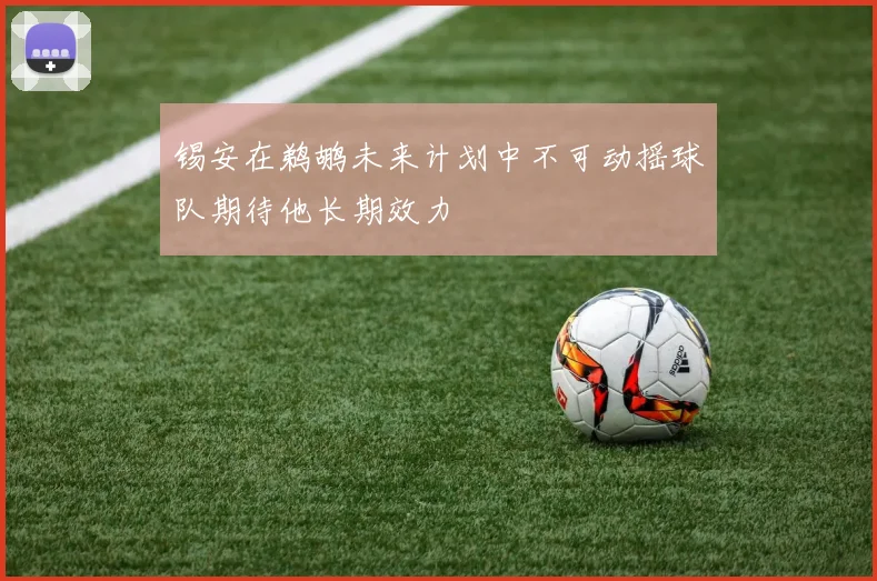锡安在鹈鹕未来计划中不可动摇球队期待他长期效力